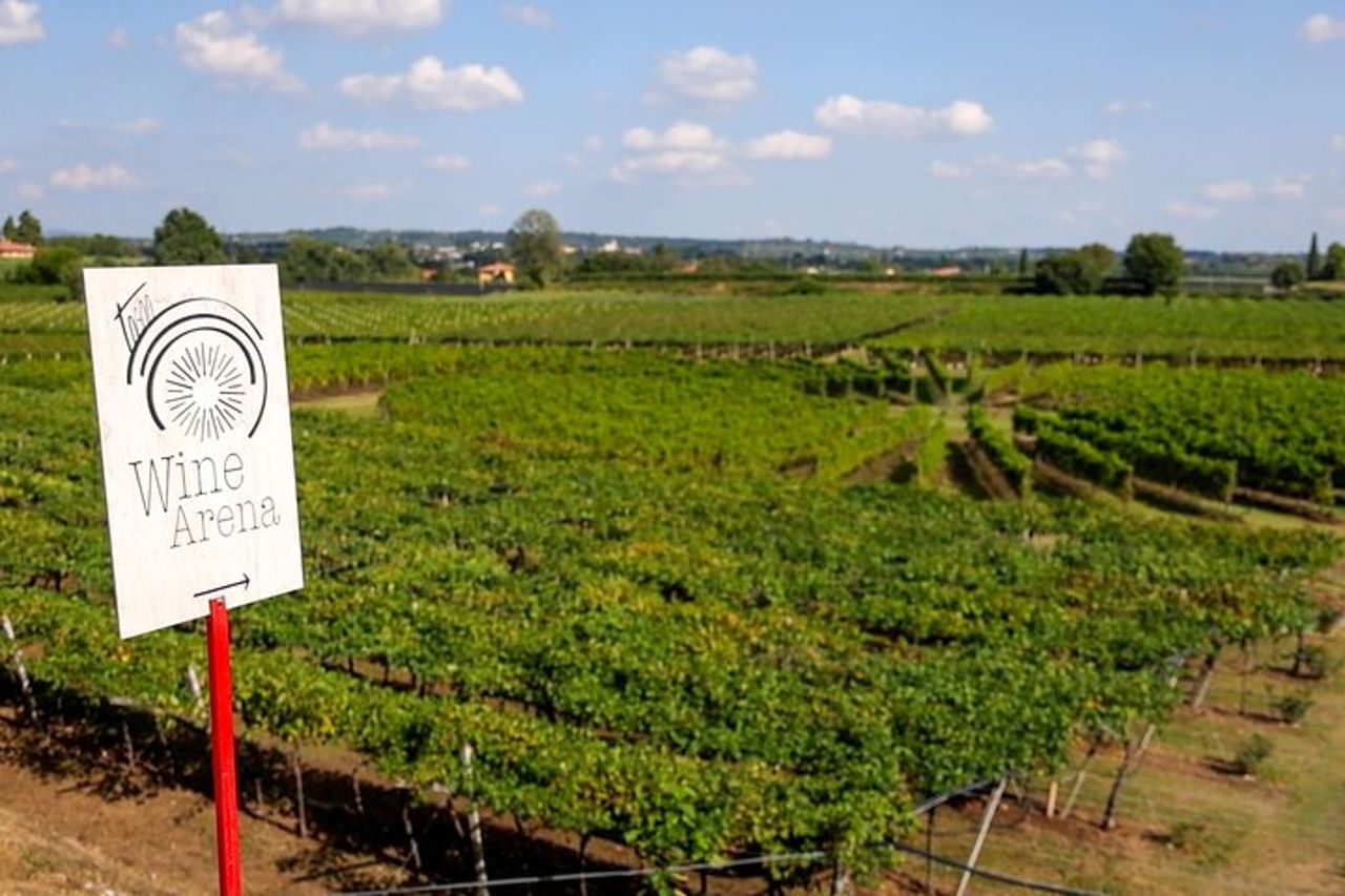 Tour della cantina e degustazione dei vini del Garda a Lazise — 9