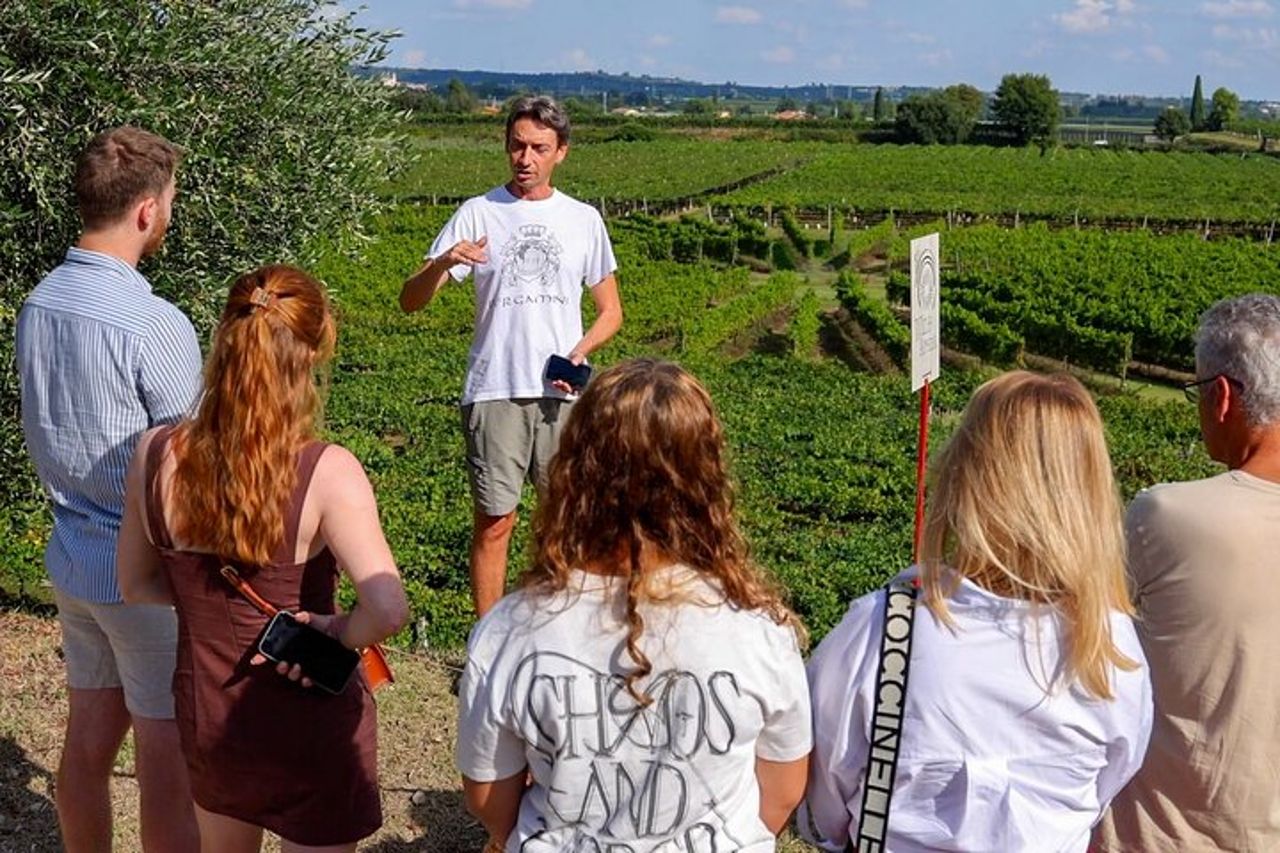 Tour della cantina e degustazione dei vini del Garda a Lazise