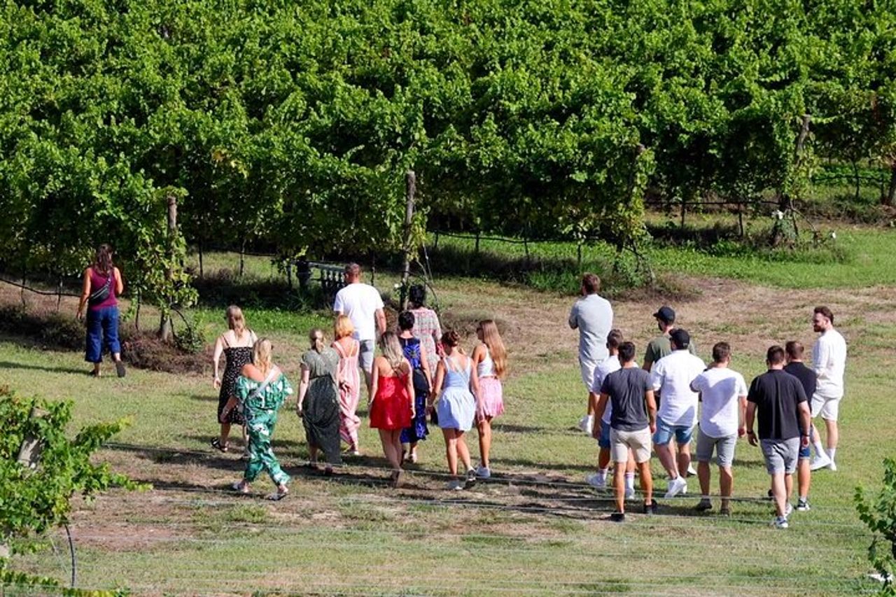 Tour della cantina e degustazione dei vini del Garda a Lazise — 3