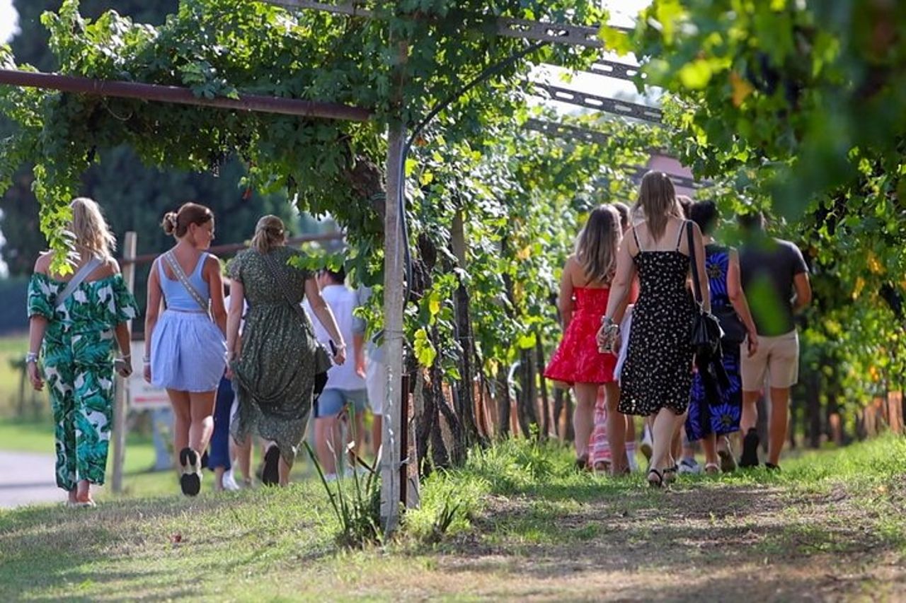 Tour della cantina e degustazione dei vini del Garda a Lazise — 4