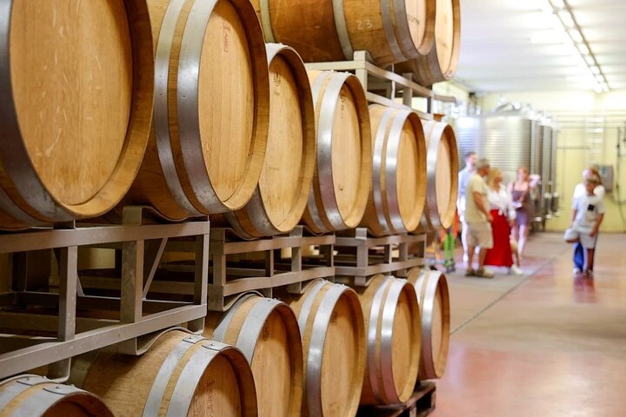 Tour della cantina e degustazione dei vini del Garda a Lazise — 8
