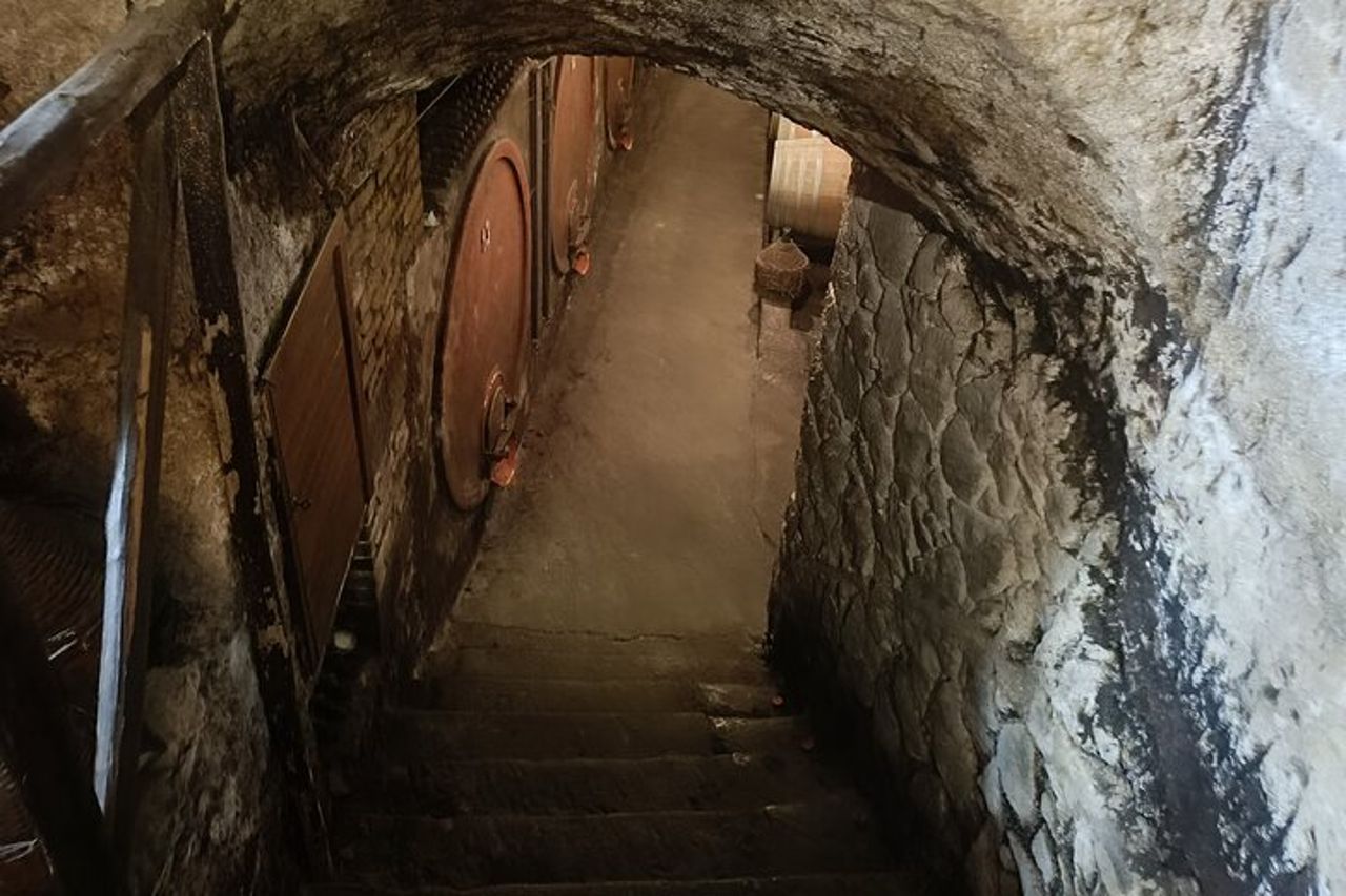 La Città Morente "Civita Bagnoregio" con degustazione di vini dal Porto — 6