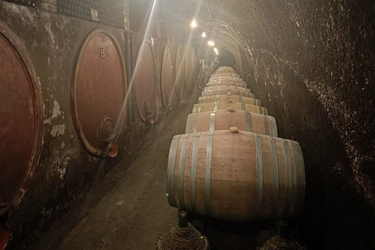 La Città Morente "Civita Bagnoregio" con degustazione di vini dal Porto — 8
