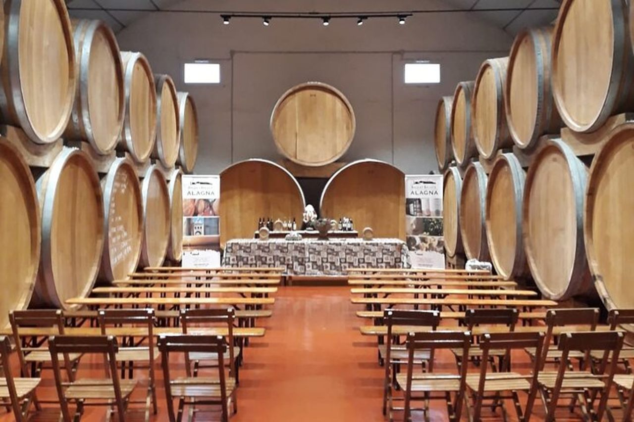 Autentica esperienza di degustazione di vino Marsala in una cantina storica — 2