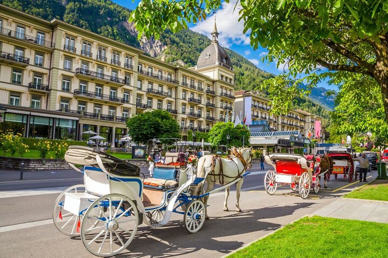 Da Basilea: Tour privato di Interlaken, crociera sul lago, cascate di Giessbach — 5