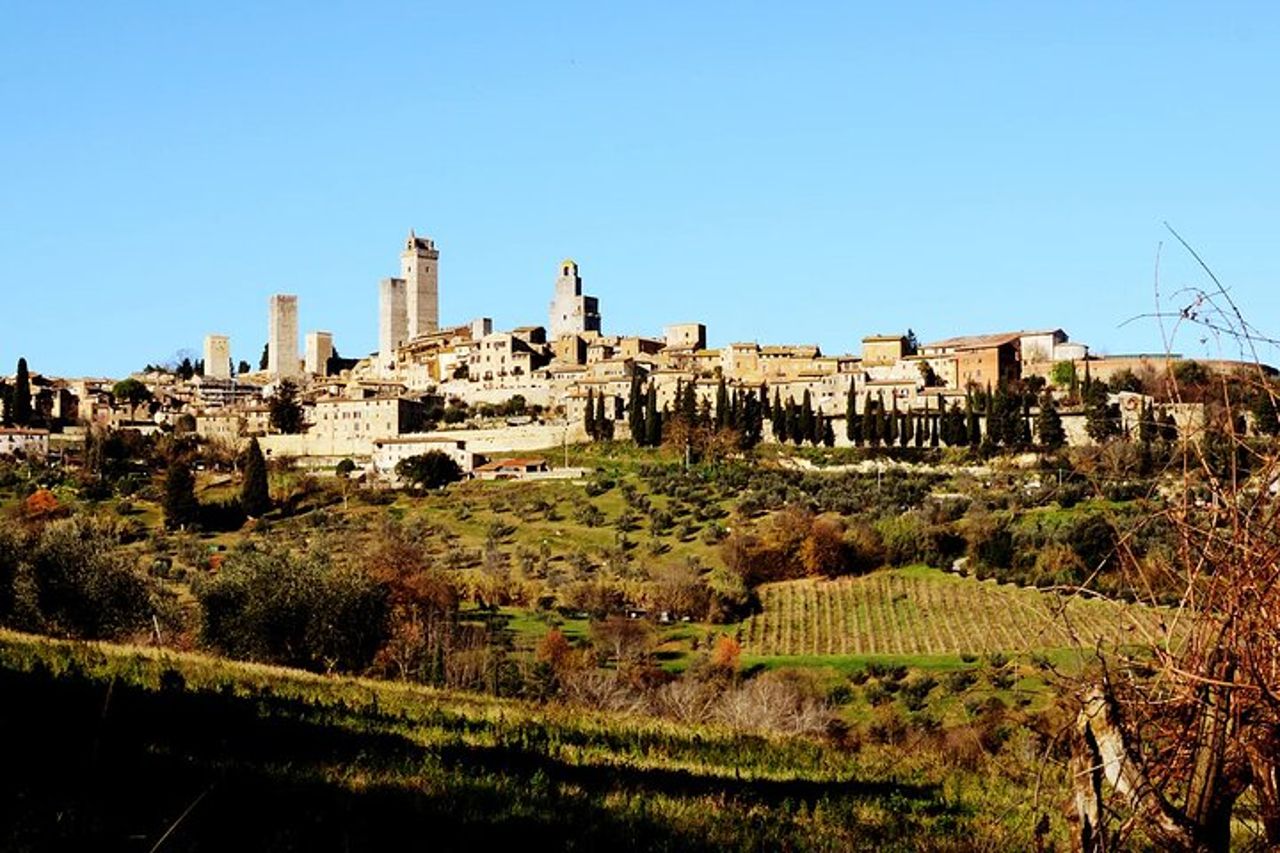 Pranzo toscano & tour in cantina con degustazione a San Gimignano — 2
