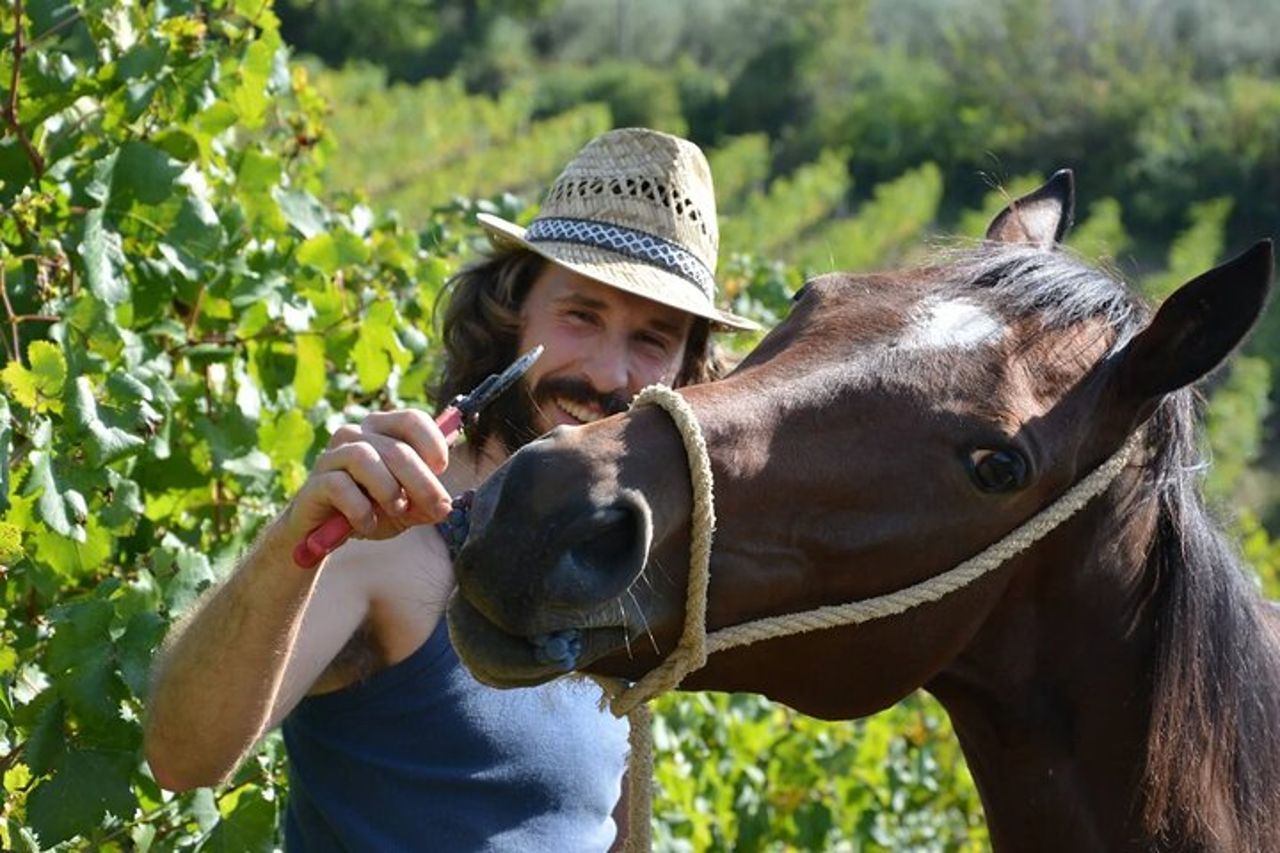 Degustazione di vino e bruschette toscane per famiglie a San Gimignano — 4