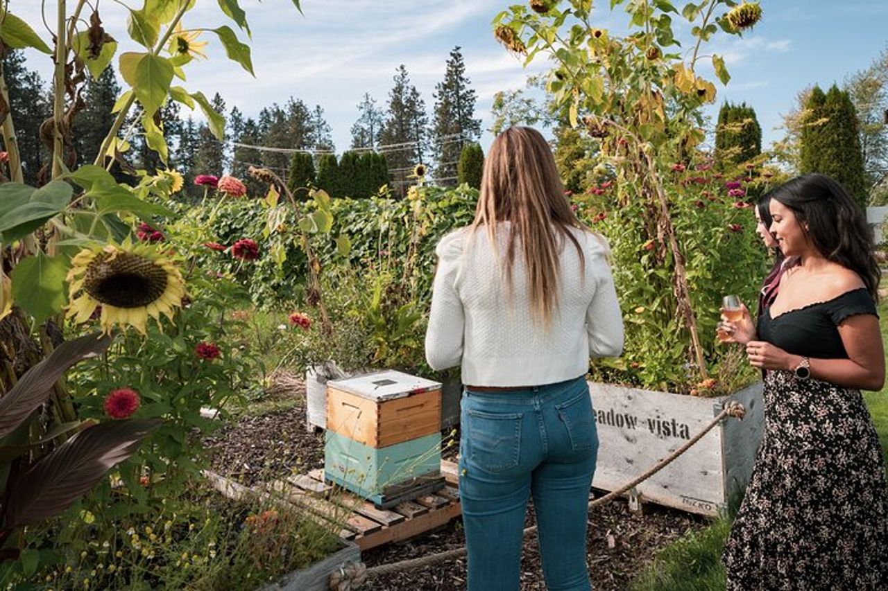Okanagan Bee Tour e pranzo in cantina a Kelowna — 6