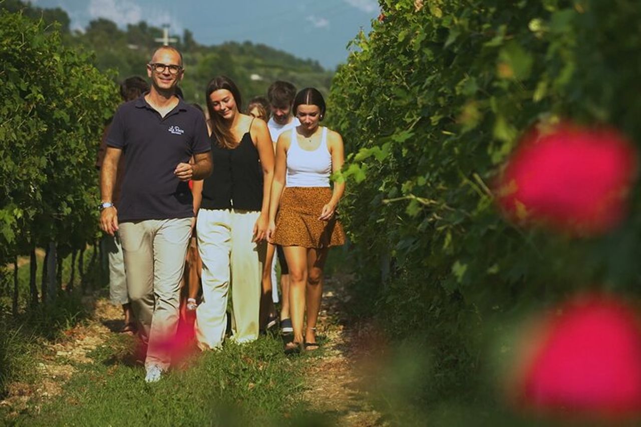 Bardolino: tour dei vigneti, degustazione di vino, olio e cibo — 3