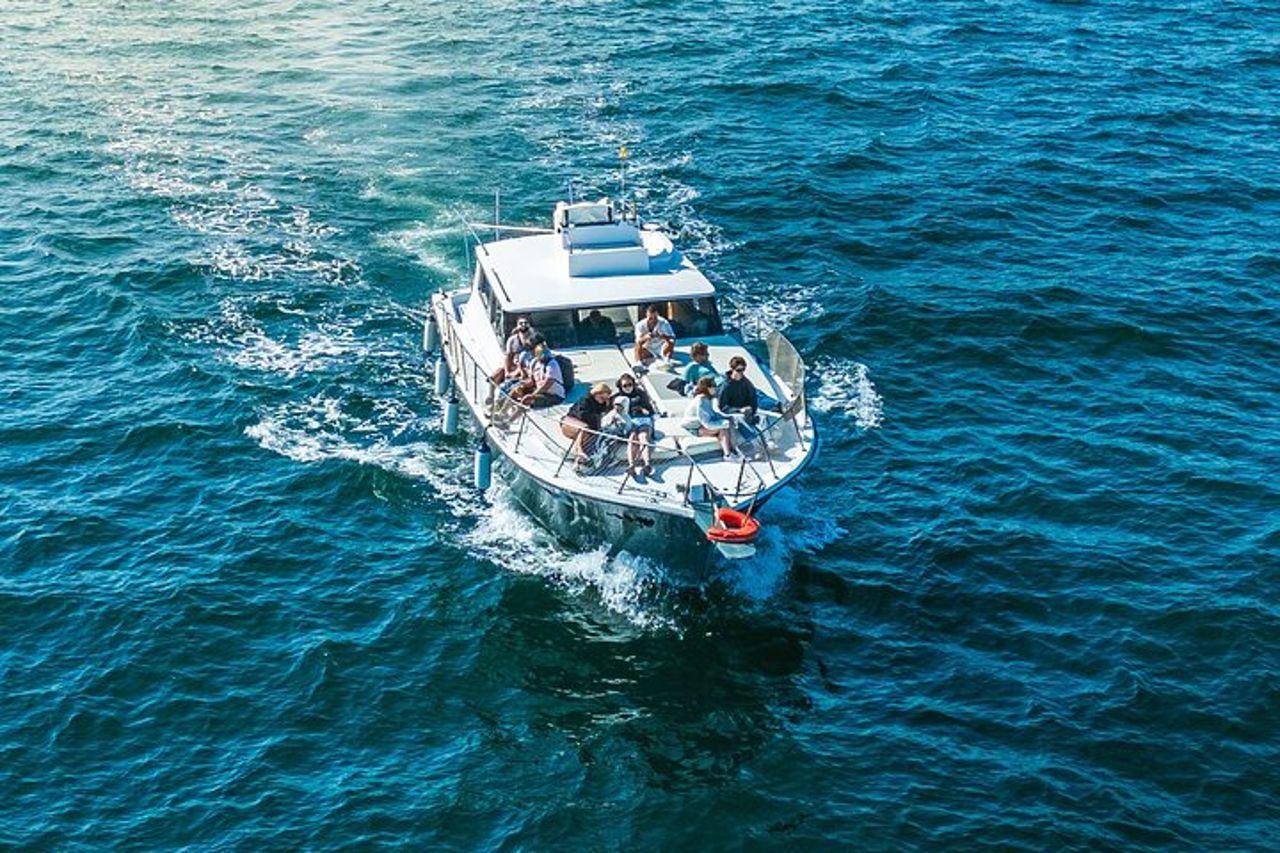 Escursione di 2 ore alla ricerca dei delfini/bevande e snack — 7