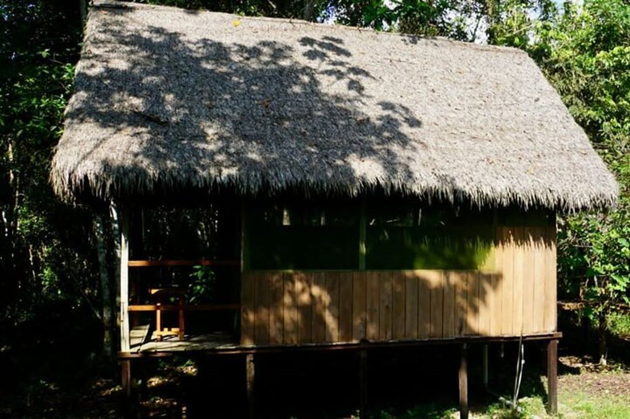 5 - Giorni Amazon Jaguar Adventure Iquitos : Gita nella giungla - Tour della fauna selvatica — 6