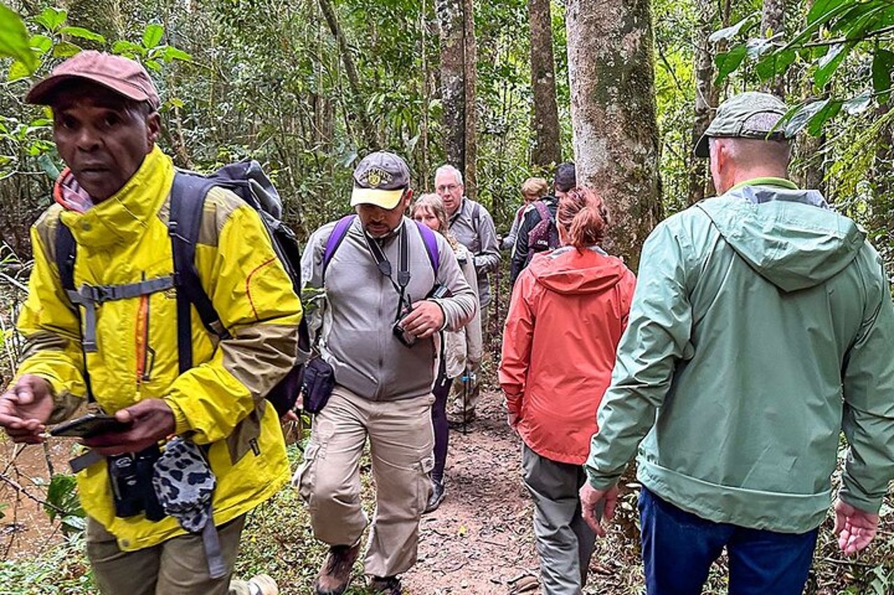 Safari privati di 9 giorni in Madagascar Baobab e famiglia Tsingy — 6