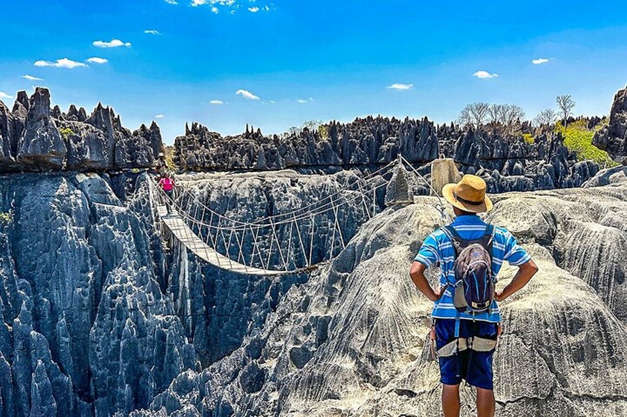 Safari privati di 9 giorni in Madagascar Baobab e famiglia Tsingy — 2