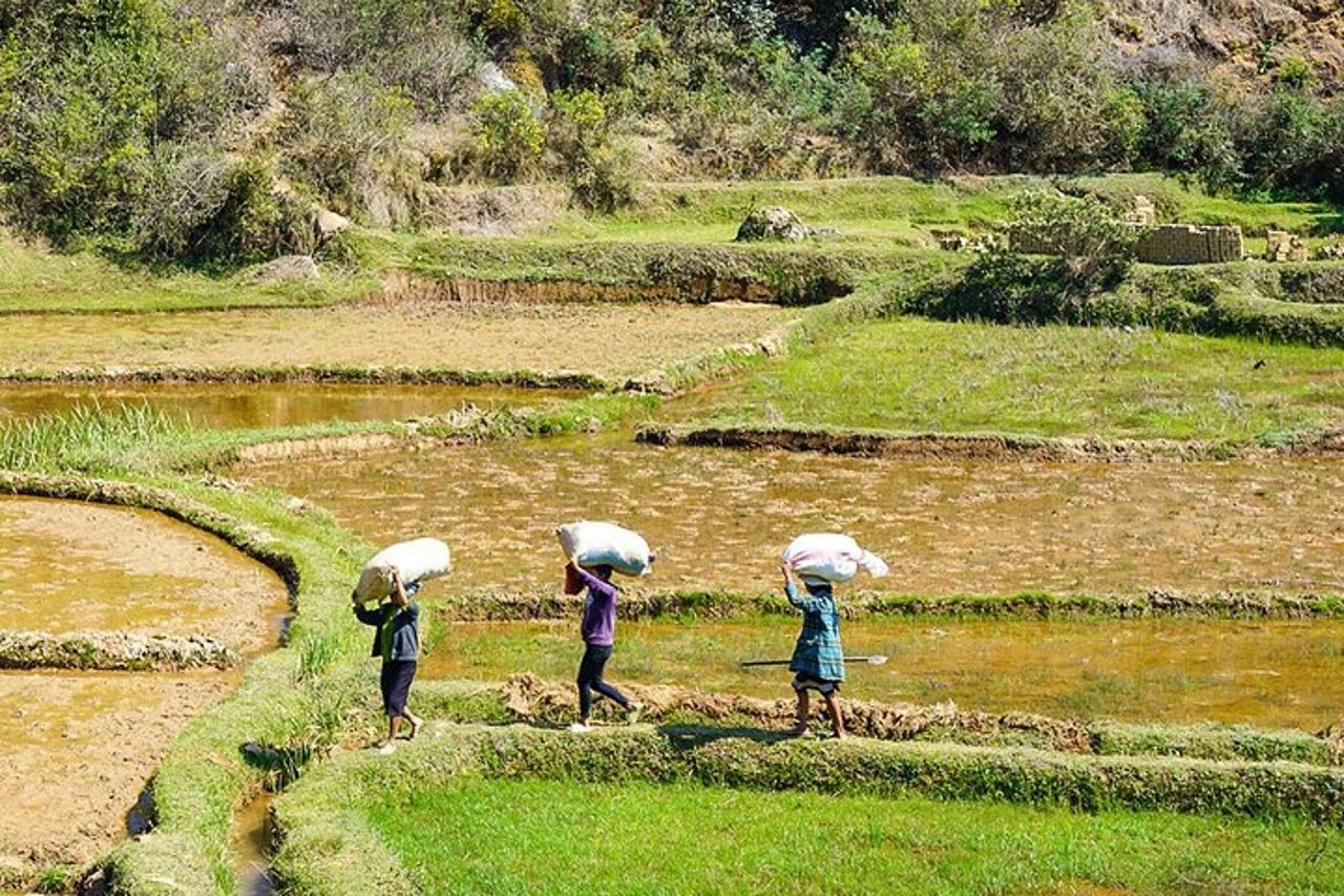 Viaggio personalizzato di 13 giorni in Madagascar con fauna selvatica e spiaggia — 9