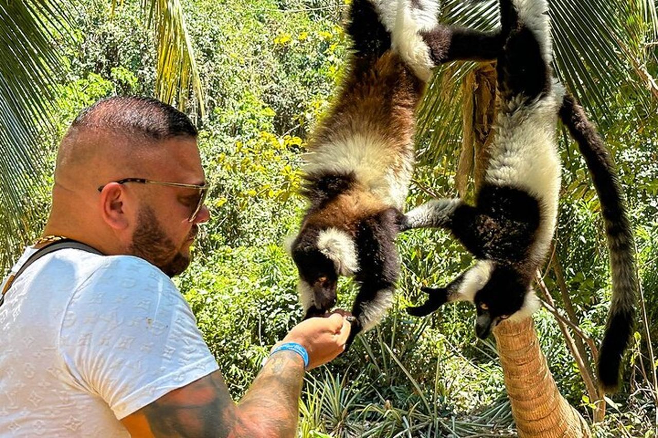 Viaggio personalizzato di 13 giorni in Madagascar con fauna selvatica e spiaggia — 3