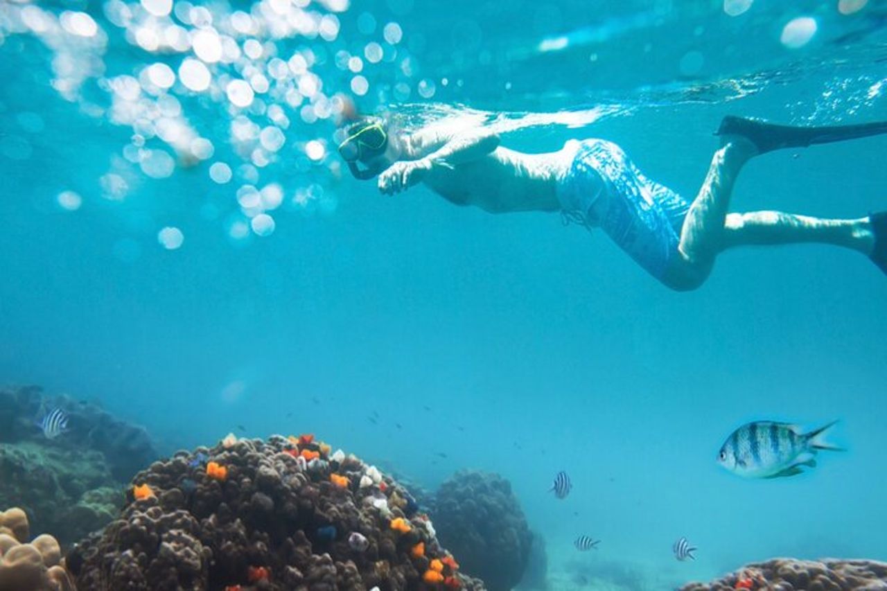 Avventura di snorkeling di mezza giornata a Nha Trang al Marine Park con barbecue — 4