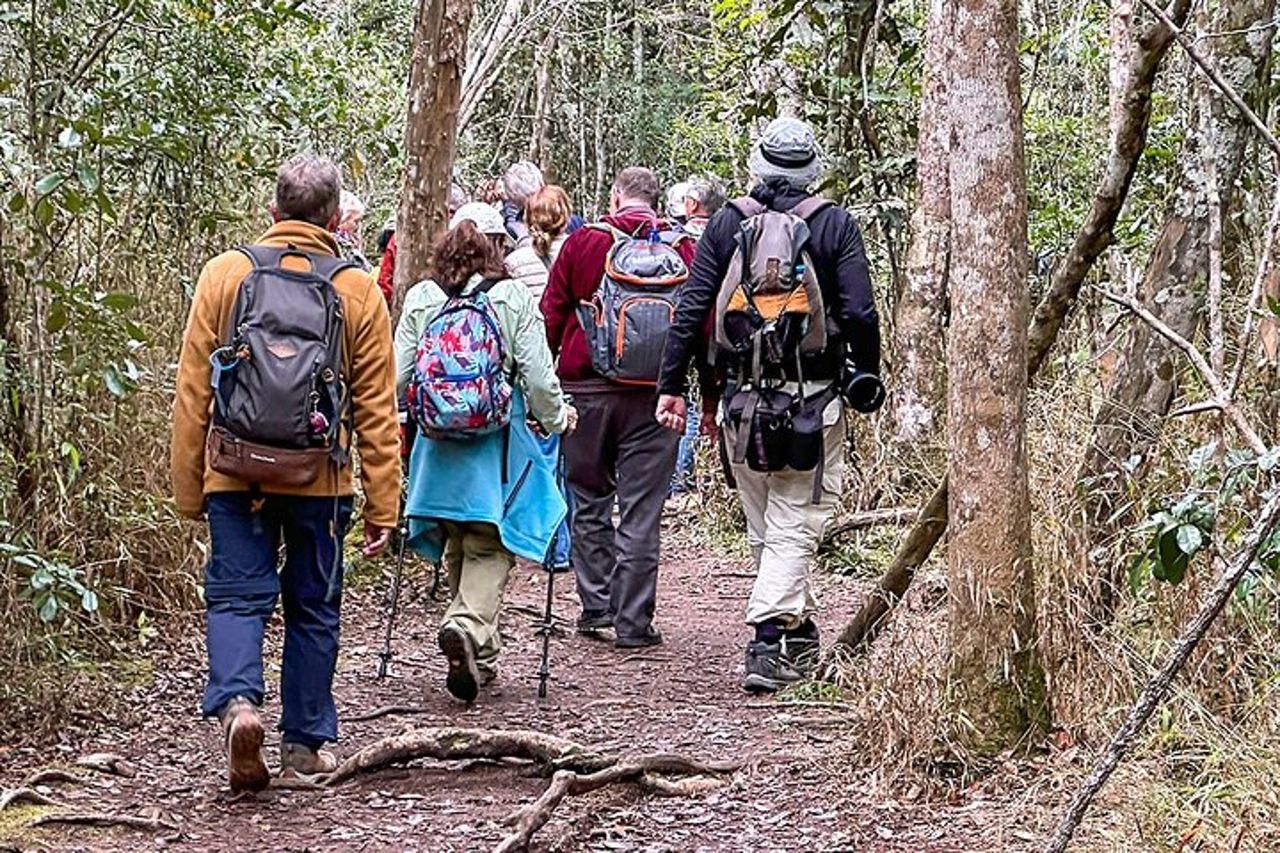 Miglior prezzo 7 giorni Madagascar Family Tour con Baobabs Avenue — 6