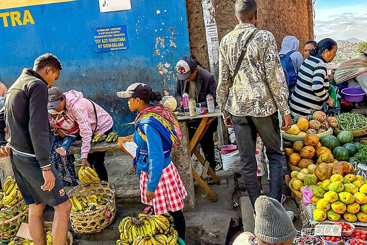 Miglior prezzo 7 giorni Madagascar Family Tour con Baobabs Avenue — 7