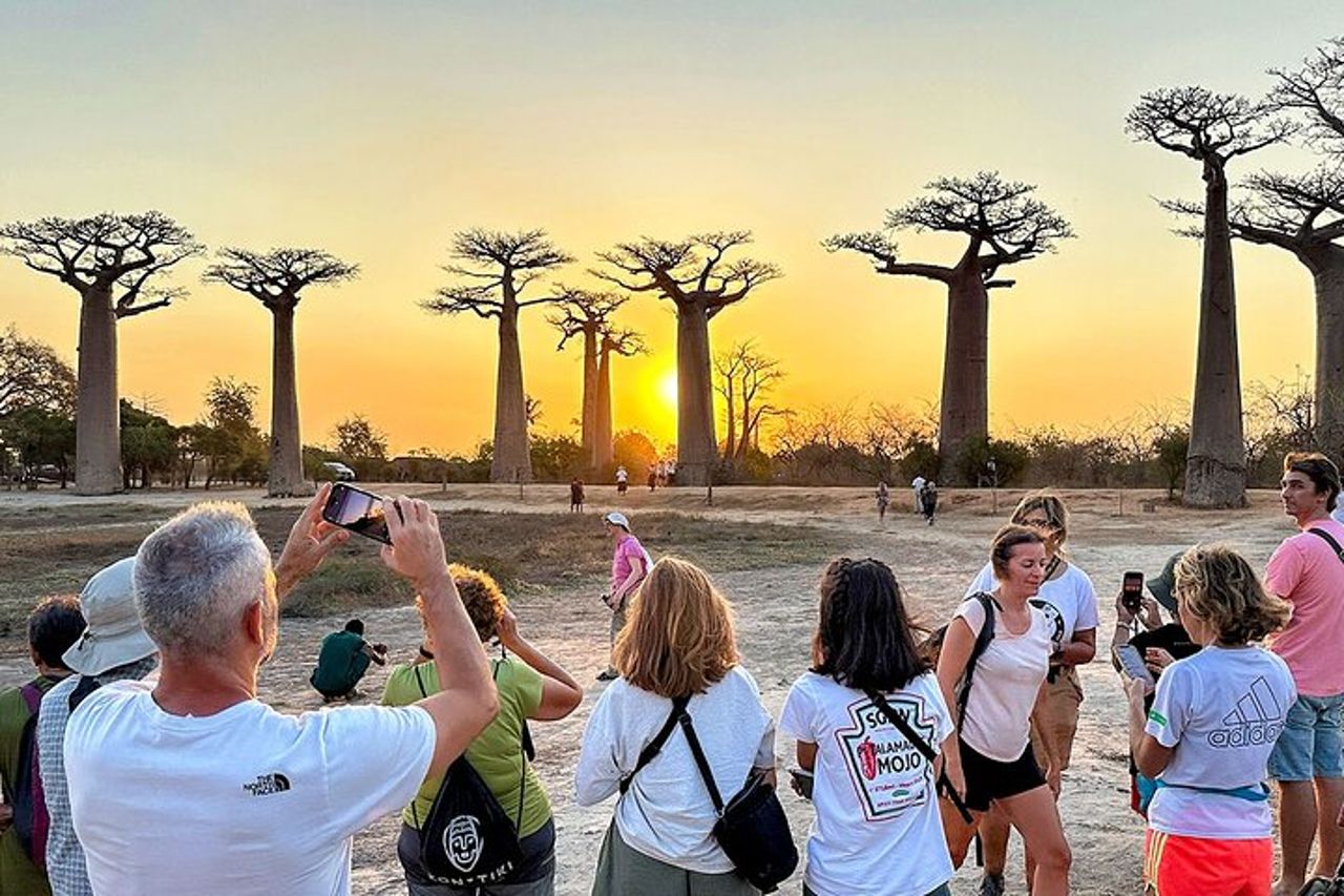 Miglior prezzo 7 giorni Madagascar Family Tour con Baobabs Avenue