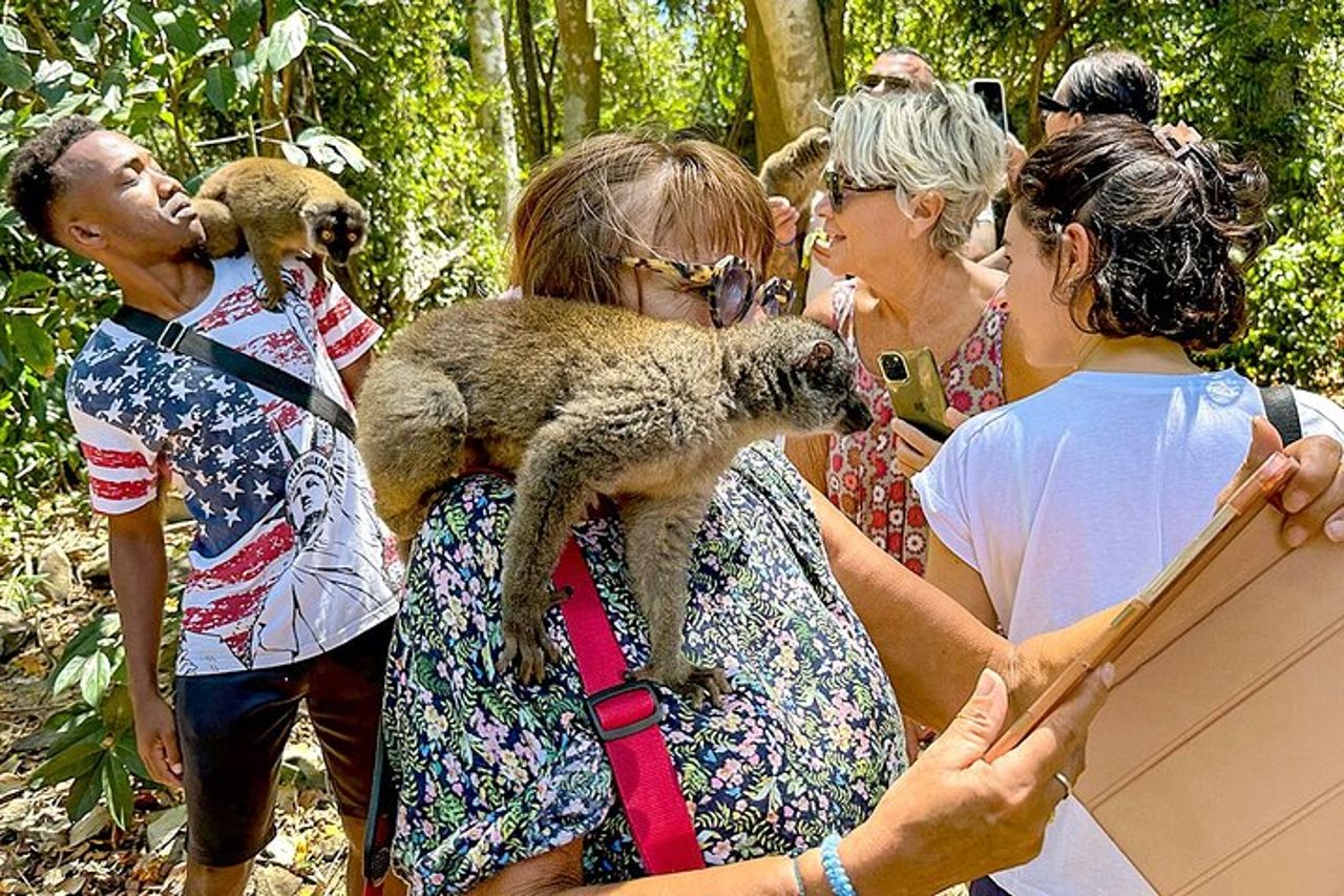 Miglior prezzo 7 giorni Madagascar Family Tour con Baobabs Avenue — 4