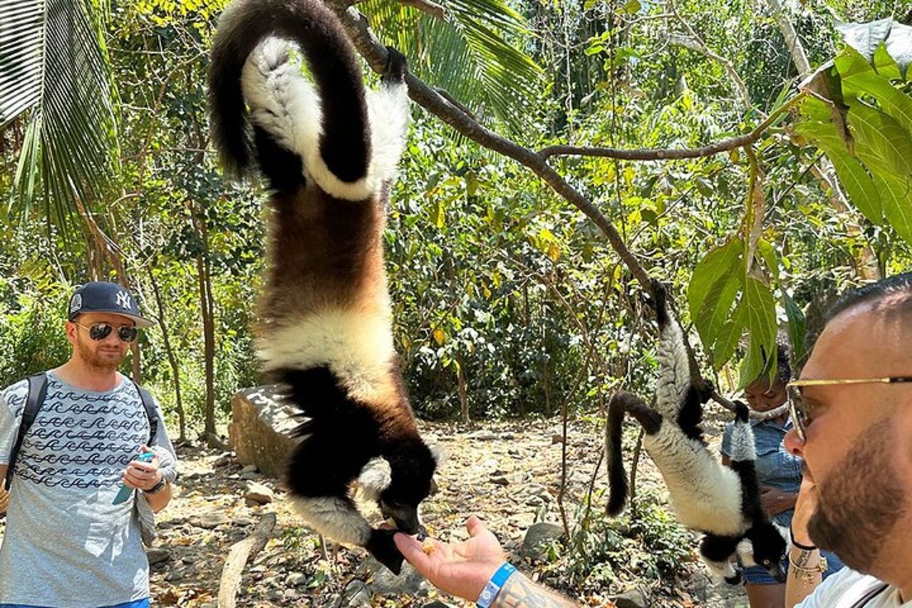 Miglior prezzo 7 giorni Madagascar Family Tour con Baobabs Avenue — 9
