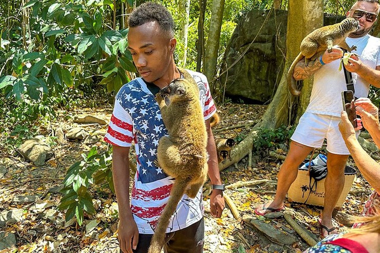Tour privato su misura di 15 giorni in Madagascar per famiglie di Lemuri — 5