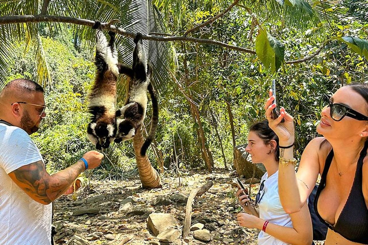 Tour privato su misura di 15 giorni in Madagascar per famiglie di Lemuri — 8
