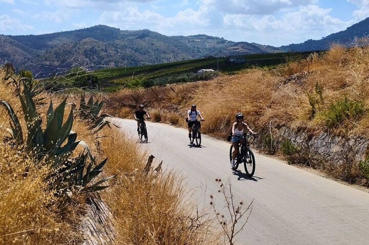 Tour in E-Bike da Castellammare del Golfo al Tempio di Segesta — 5