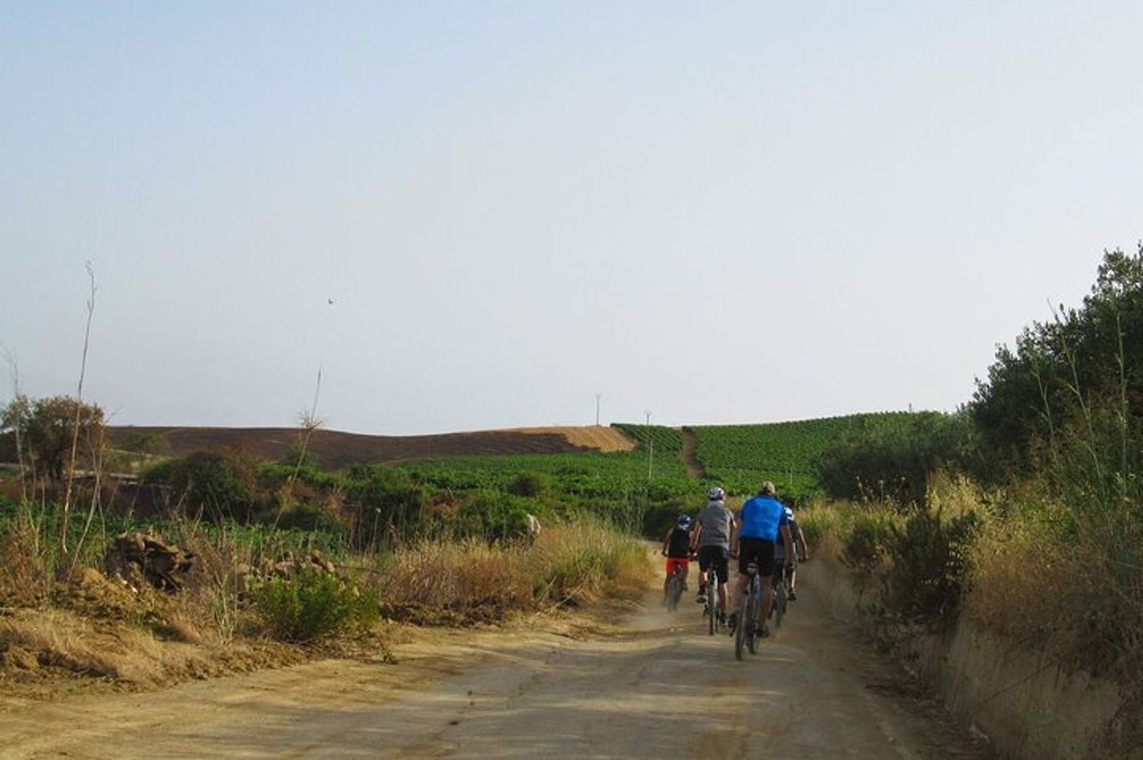 Tour in E-Bike da Castellammare del Golfo al Tempio di Segesta — 7