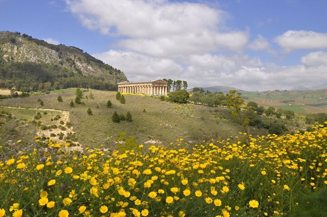 Tour in E-Bike da Castellammare del Golfo al Tempio di Segesta — 8