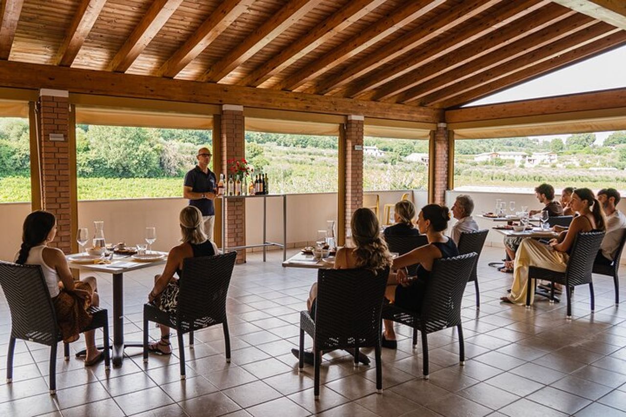 Bardolino: tour dei vigneti, degustazione di vino, olio e cibo — 2