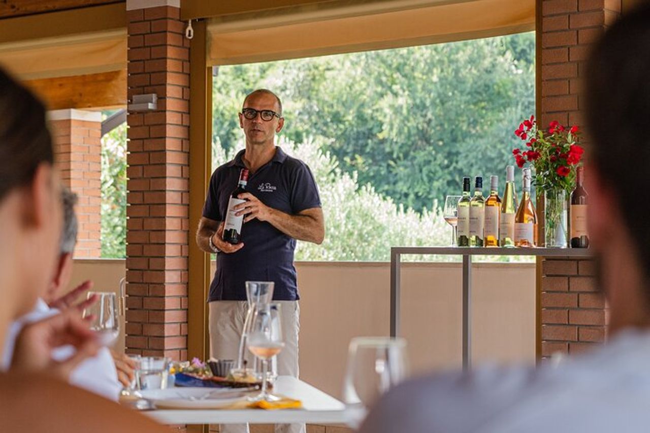 Bardolino: tour dei vigneti, degustazione di vino, olio e cibo