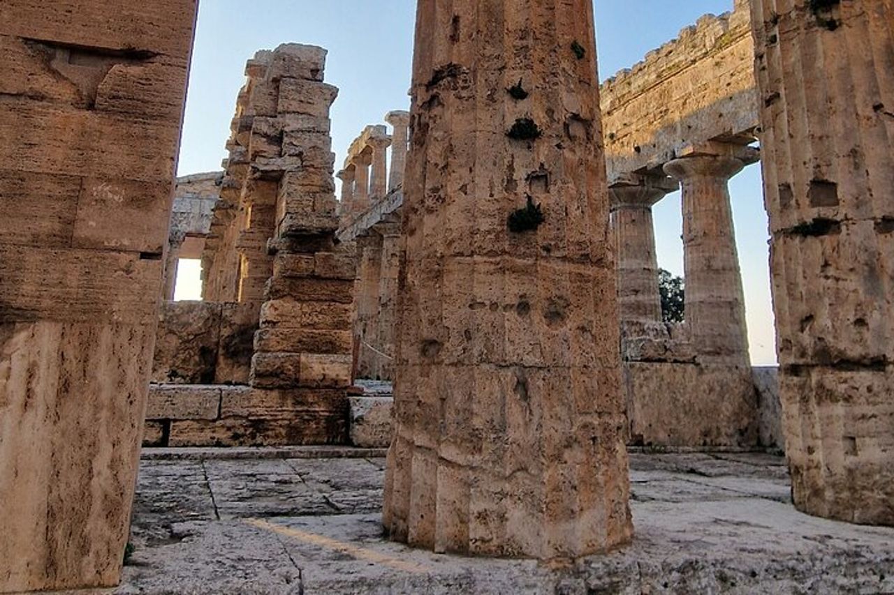 Parco Archeologico e Museo di Paestum Passeggiata — 6