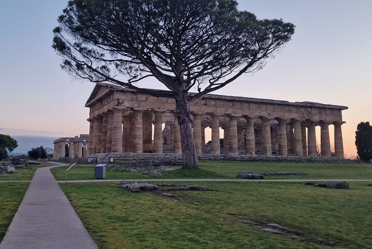 Parco Archeologico e Museo di Paestum Passeggiata — 9
