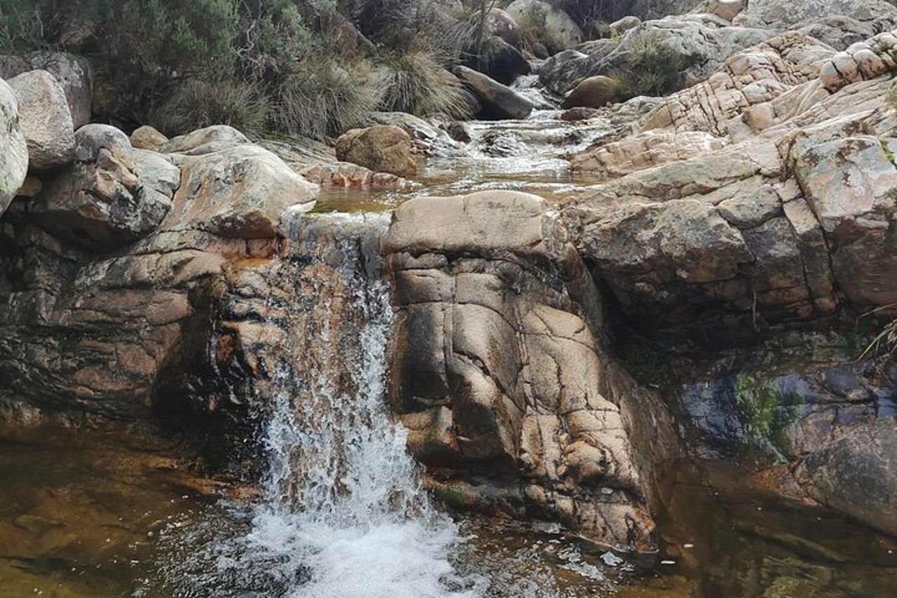 Esplora il tour panoramico in jeep da San Teodoro a Rio Pitrisconi — 5