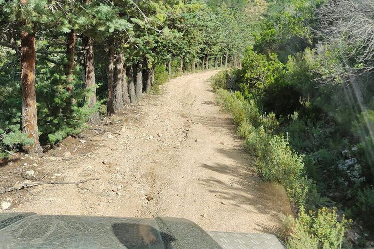 Esplora il tour panoramico in jeep da San Teodoro a Rio Pitrisconi — 6