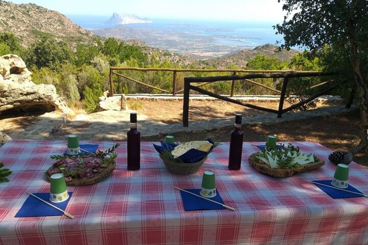 Esplora il tour panoramico in jeep da San Teodoro a Rio Pitrisconi — 8