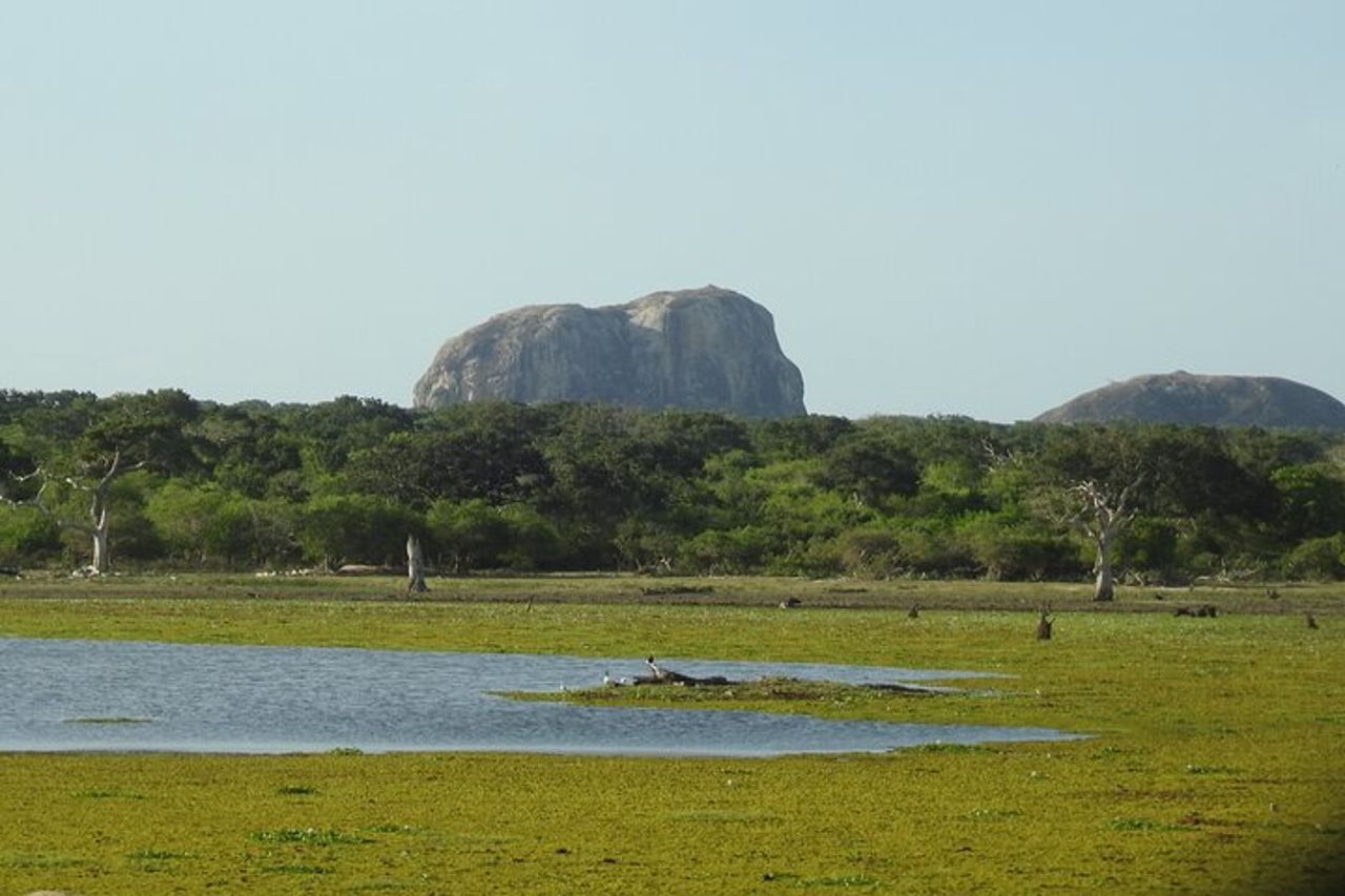 Safari Yala da Ella e Drop Off Mirissa Tangalle e Galle — 2