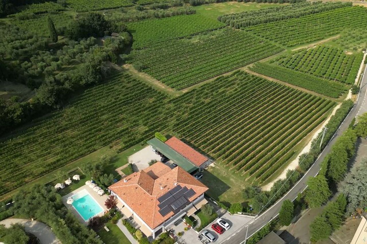 Bardolino: tour dei vigneti, degustazione di vino, olio e cibo — 9