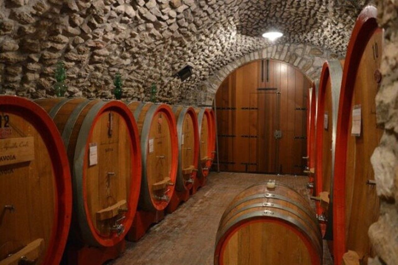 Pagus Wine Tours® - Sirmione in barca e Amarone - Tour di un'intera giornata — 7