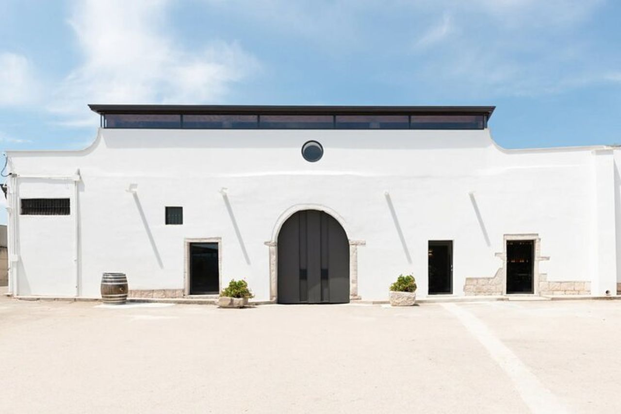 Autentica degustazione di vini italiani e tour in cantina a Foggia — 2