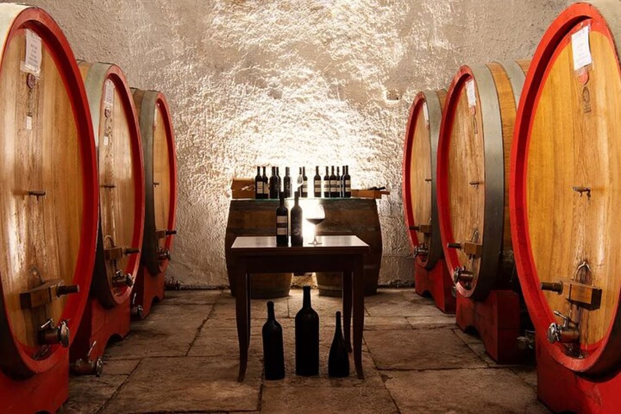 Autentica degustazione di vini italiani e tour in cantina a Foggia