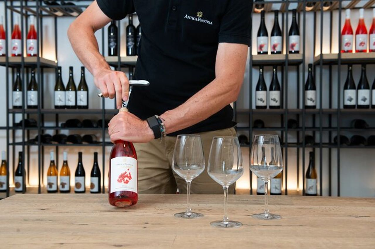 Autentica degustazione di vini italiani e tour in cantina a Foggia — 3