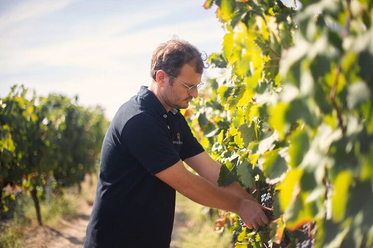 Autentica degustazione di vini italiani e tour in cantina a Foggia — 6