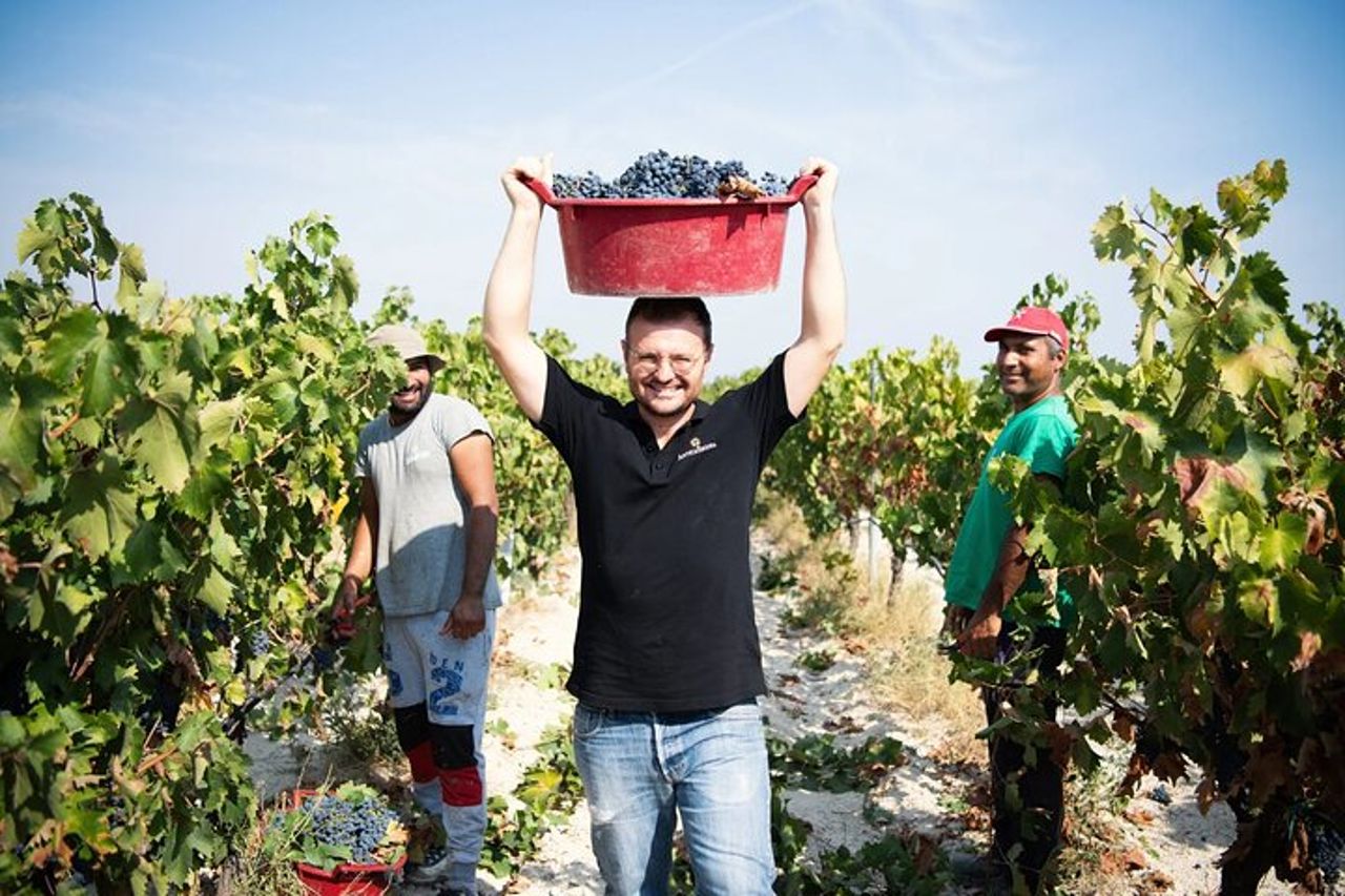 Autentica degustazione di vini italiani e tour in cantina a Foggia — 8