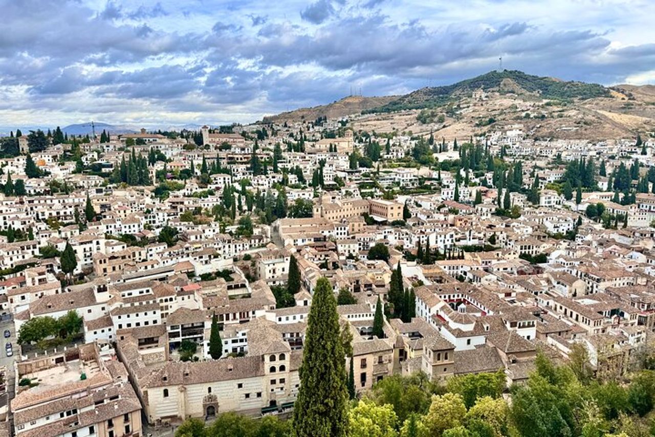 Granada & Alhambra Gita privata di un giorno da Marbella — 5
