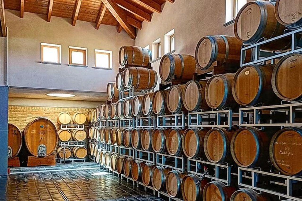 Tour e Degustazione vini tra Langhe e Monferrato — 3