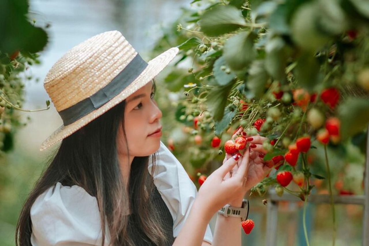 Alla scoperta della nuova attrazione turistica di Dalat 2026 — 8