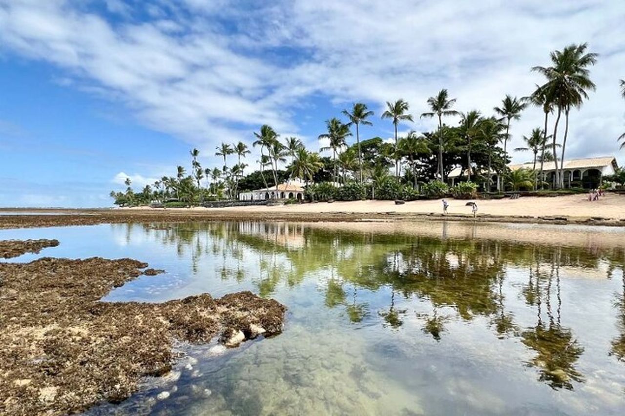Praia do Forte e Guarajuba - Costa settentrionale — 7