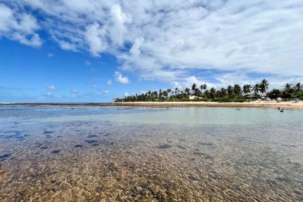 Praia do Forte e Guarajuba - Costa settentrionale — 8